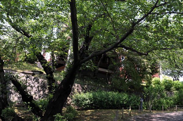 120518 10 DSC_5750.jpg